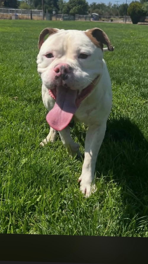Hank photo 5