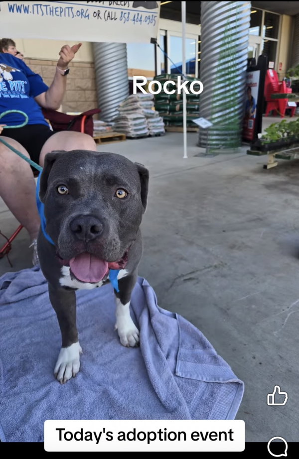 Rocko