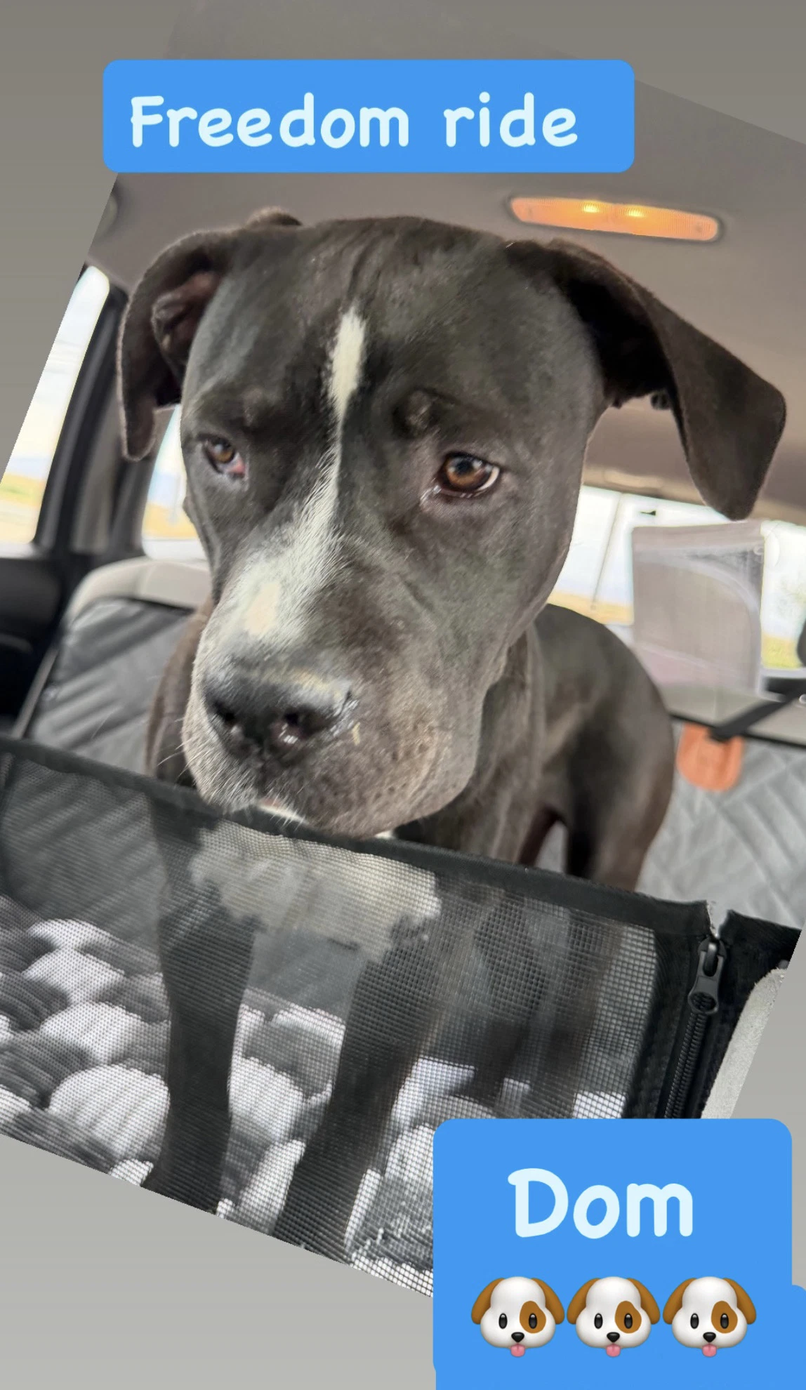 Eros Aka Dom