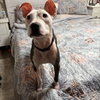 Janie