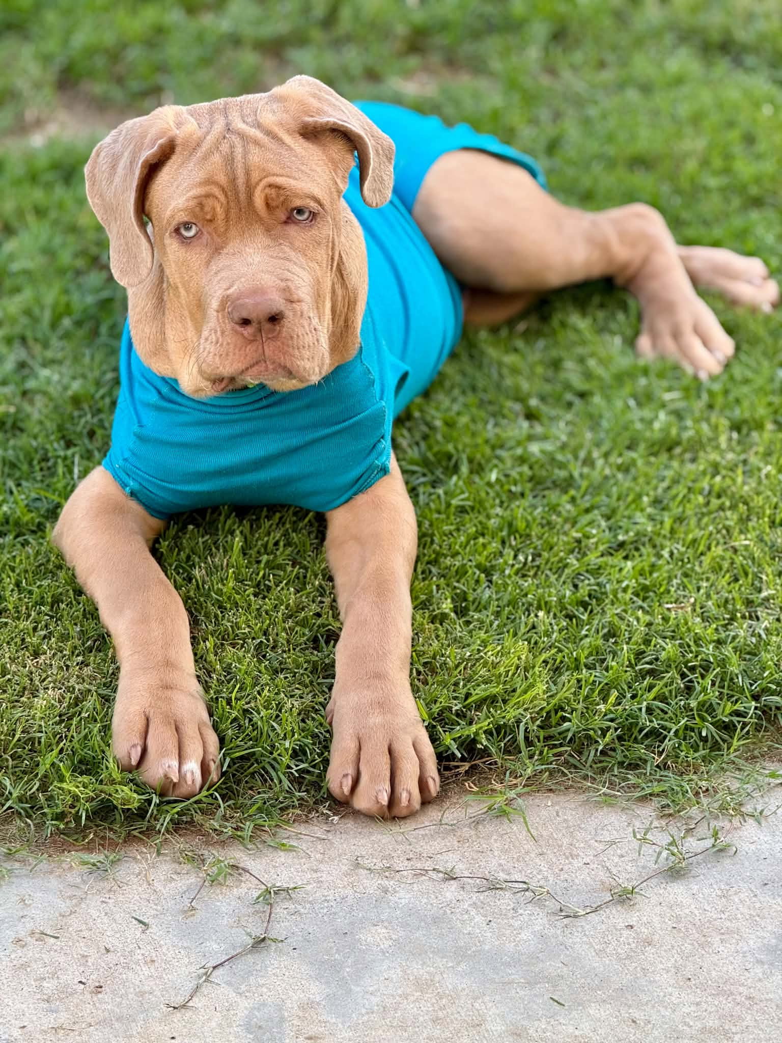 Spunky, photo 9