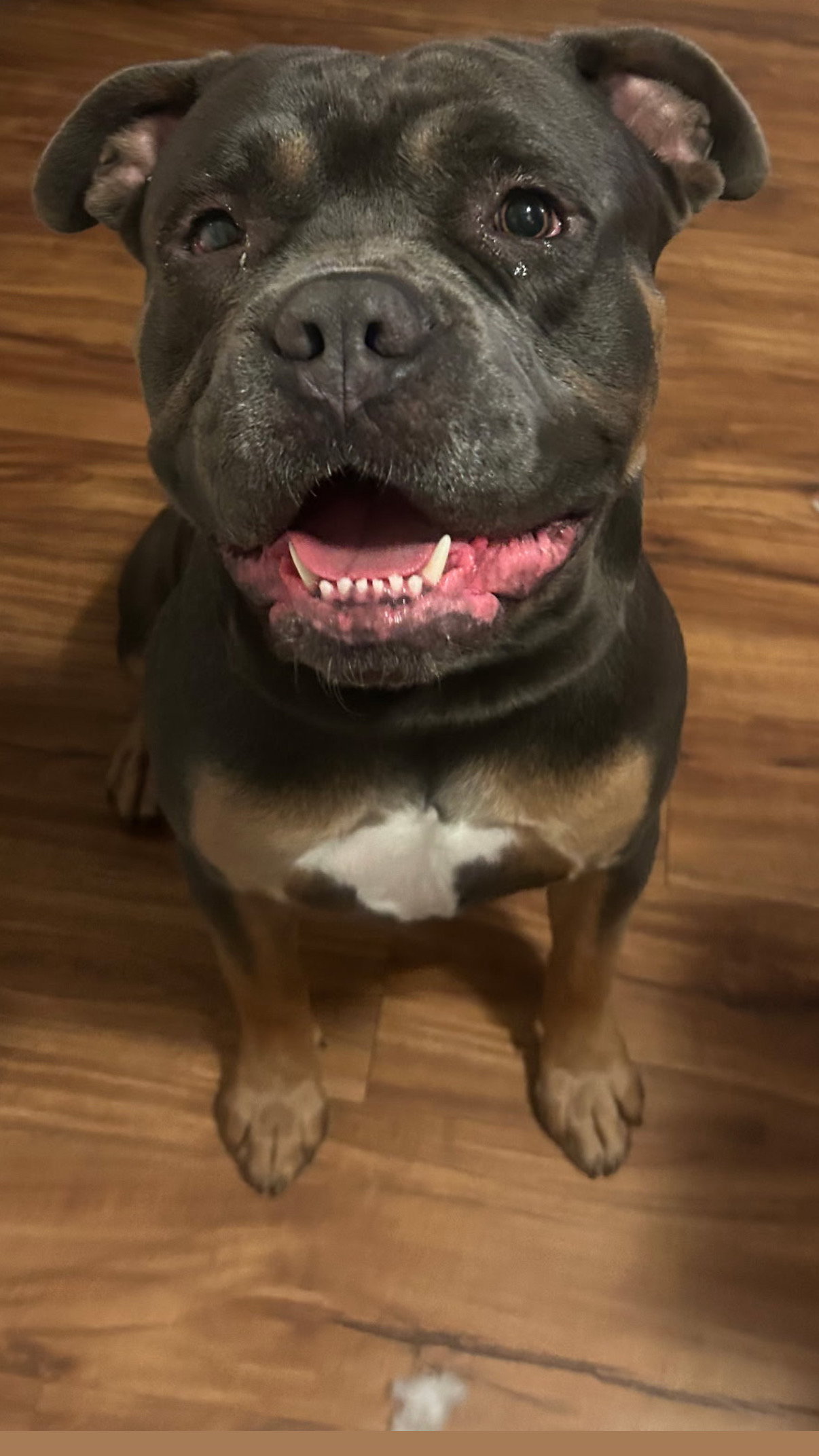 Zeus