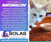 Marshmallow -- (df) - Photo 2