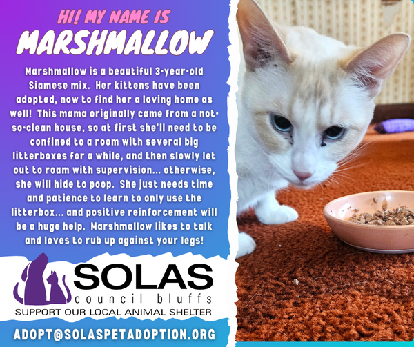 Marshmallow -- (df)