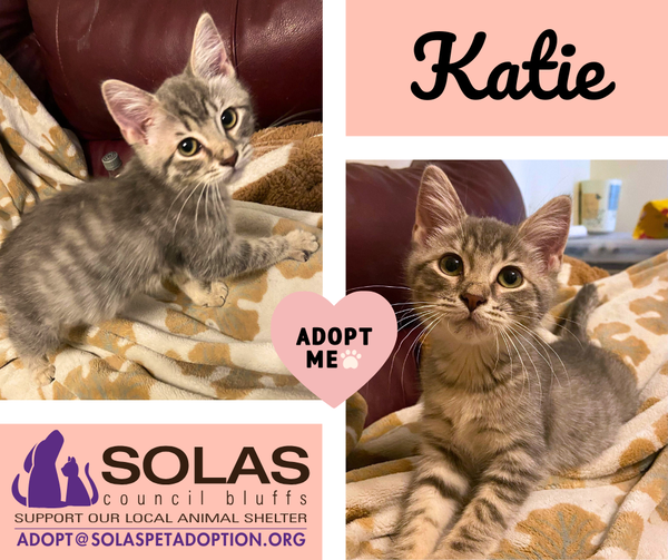 Katie  --  (k&b)