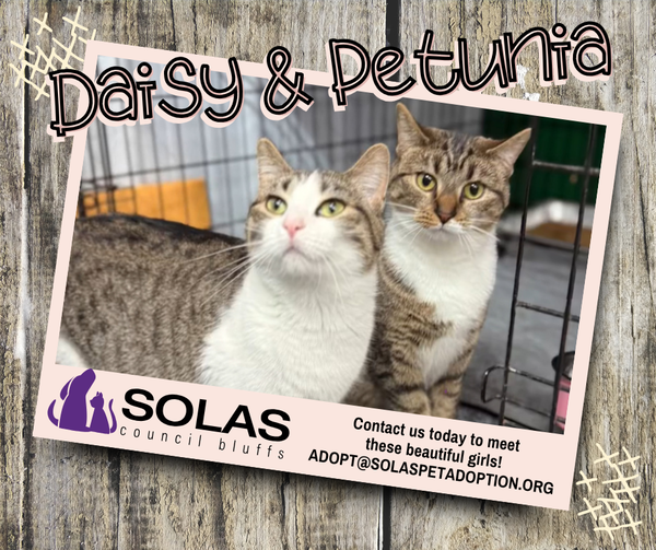 Daisy and Petunia  --  (jm)