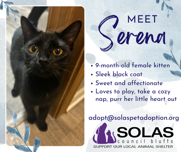 Serena  --  (tv)