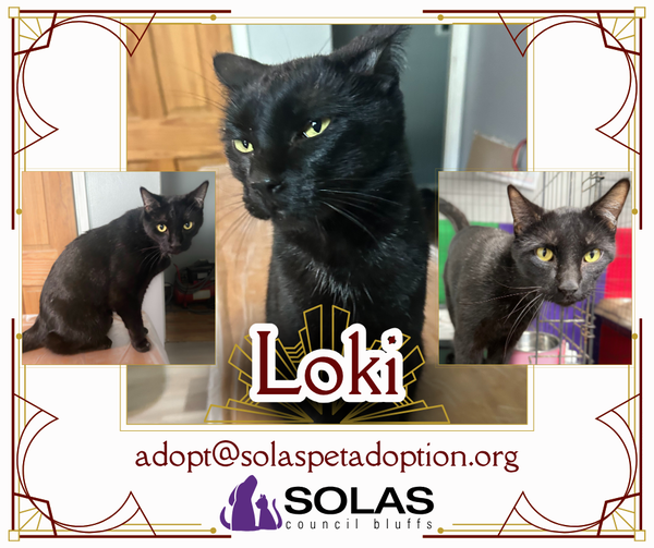 Loki  --  (tv)