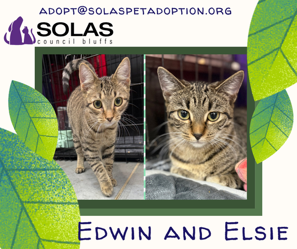Edwin and Elsie  --  (tv)