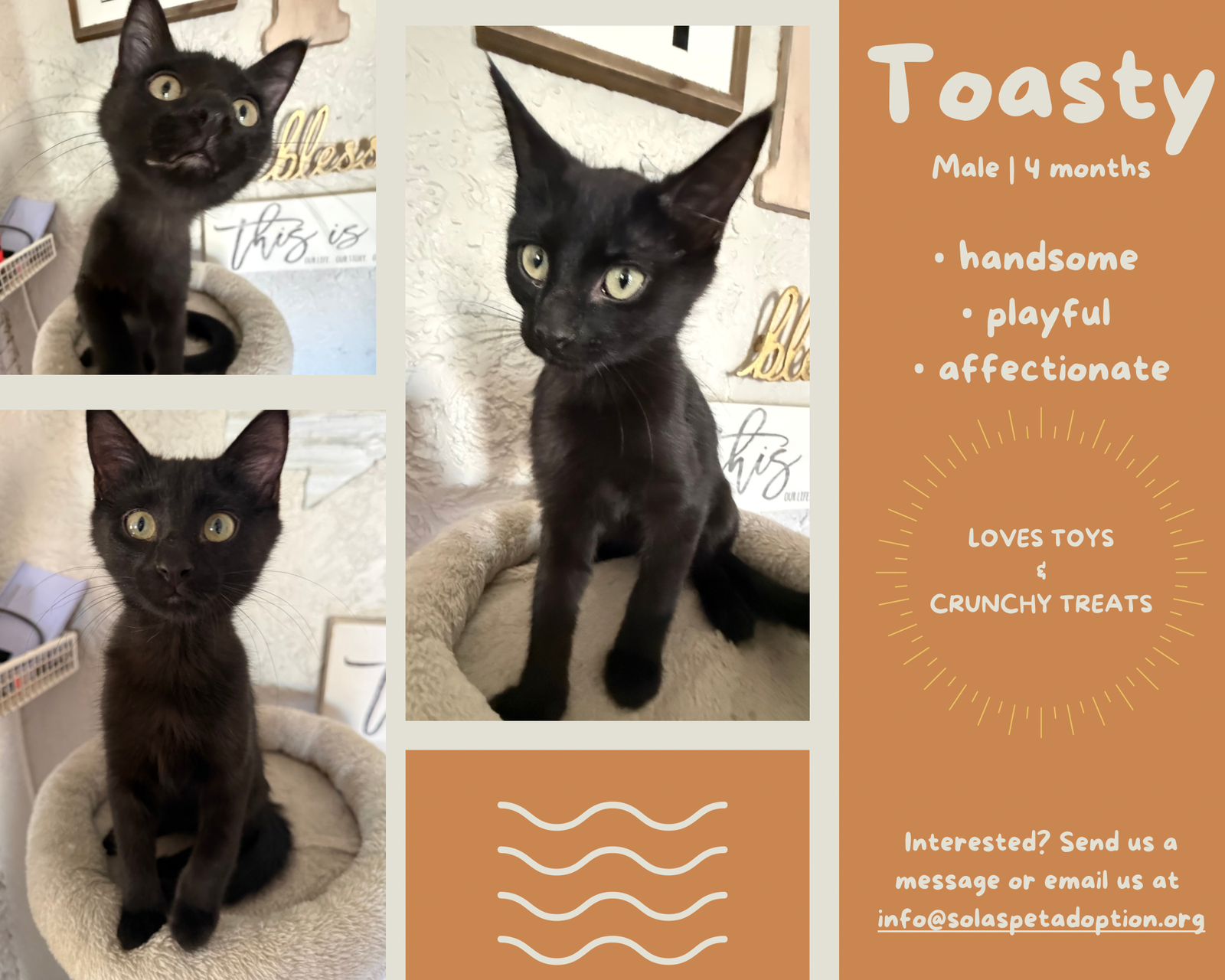 Toasty - JM Image