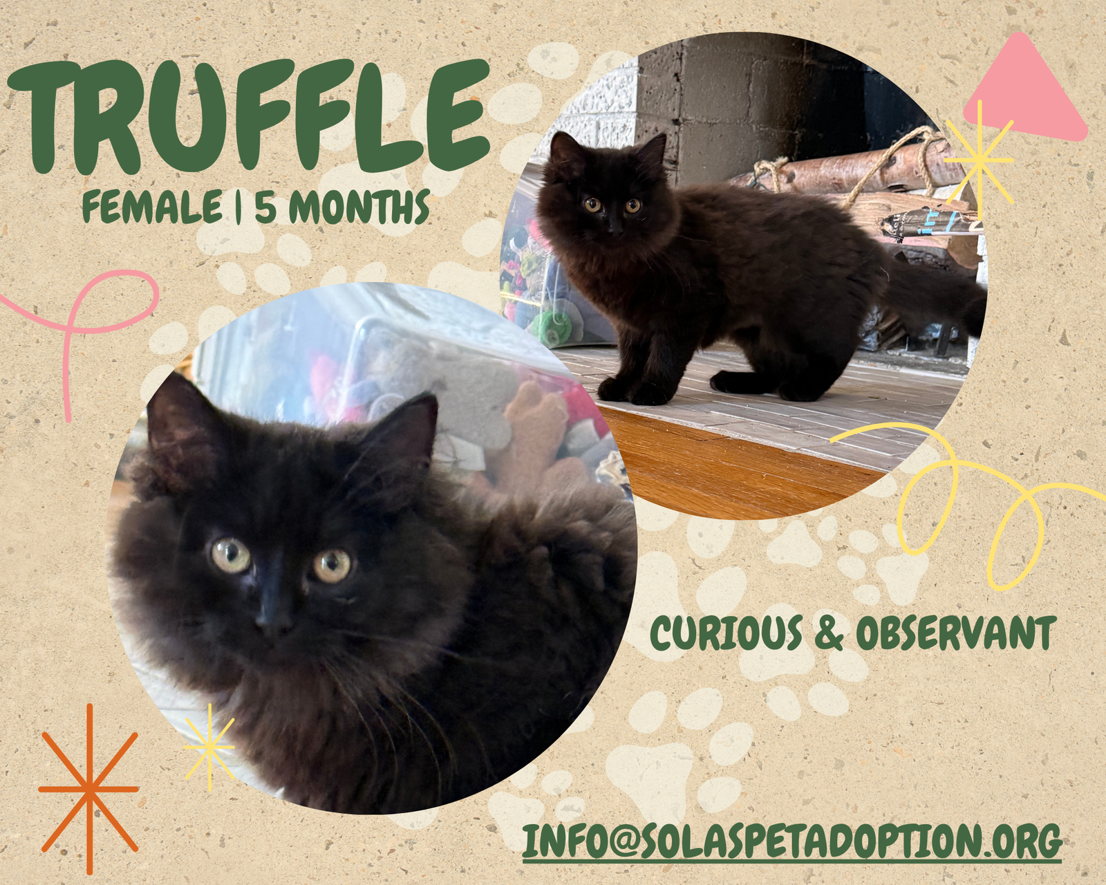 Truffle - JM Image