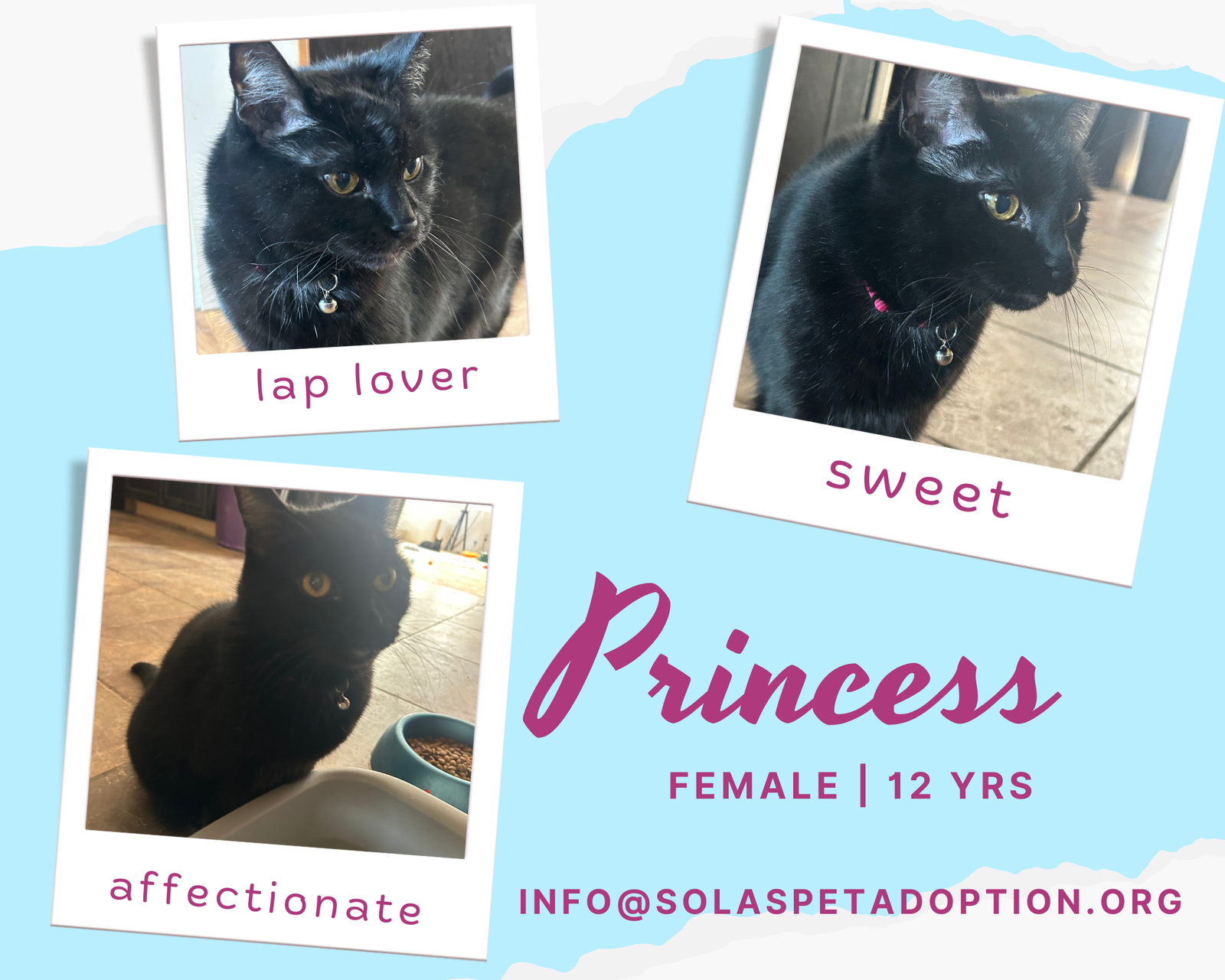 Princess - TV Image