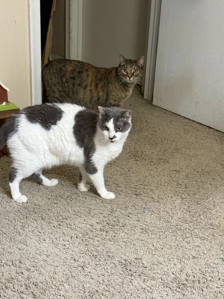 Cleo And Charlie