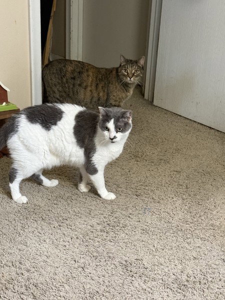 Cleo and Charlie