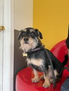 Makoa #0797 - Photo 1