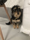 Makoa #0797 - Photo 2