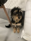 Makoa #0797 - Photo 3