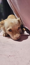 Cali #1363 - Photo 2