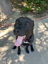Raven FKA Florida - Photo 2