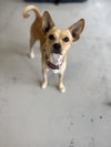 Paco #0444 - Photo 4