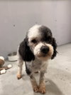 Bud #5023 - Photo 3