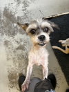 Cookie #1254 - Photo 1