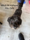 Mitch #9976 - Photo 1