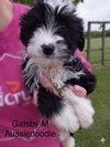 Gatsby - Photo 1