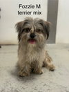 Fozzie 2466 - Photo 1