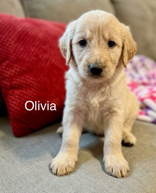 Olivia