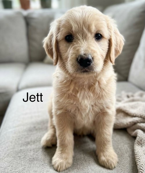 Jett