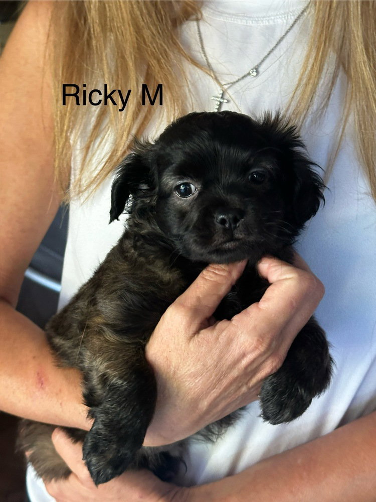Ricky jul