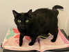 Haze - Loves to Cuddle - Photo 1