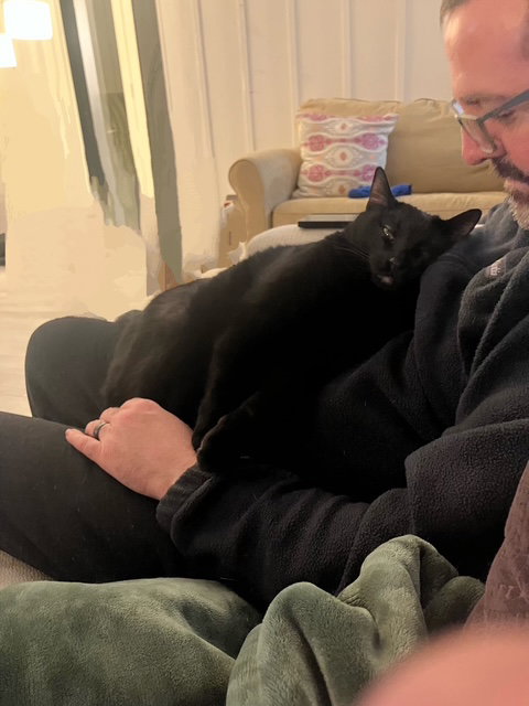 Haze - Loves to Cuddle