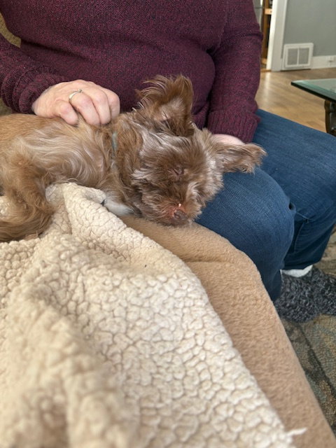 Coco