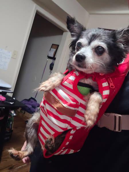 Penny - Tiny & Sweet!