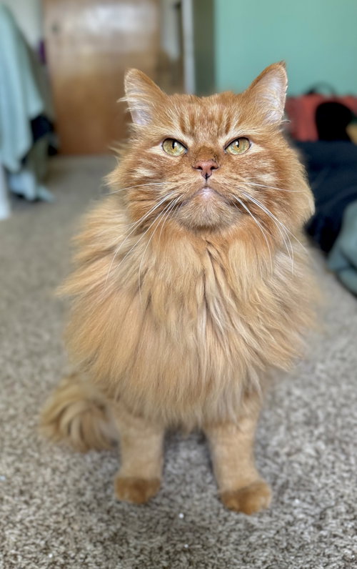 Thomas