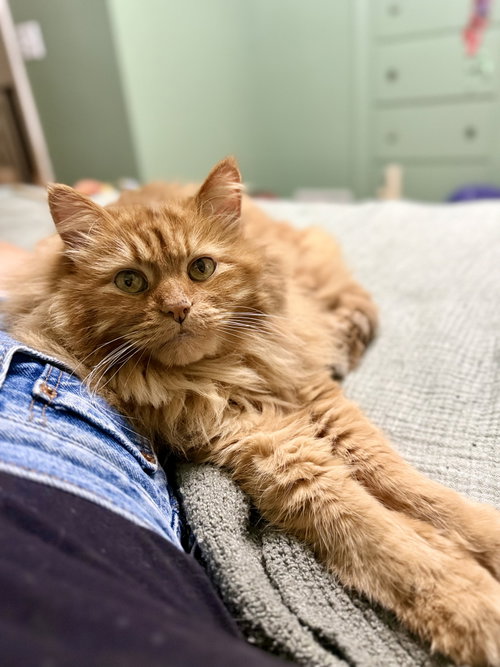 Thomas photo 3