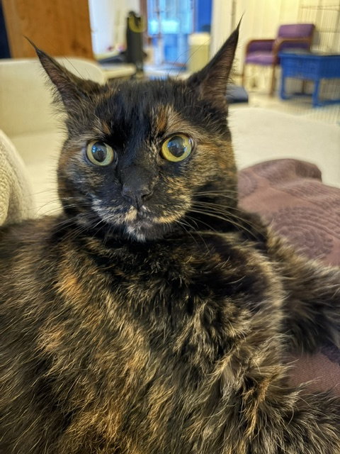 Chloe