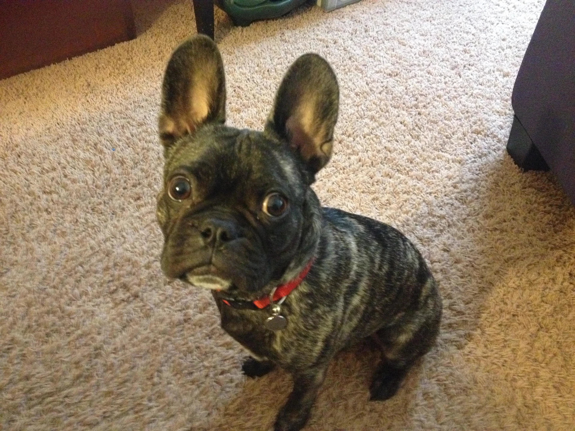 Lenny