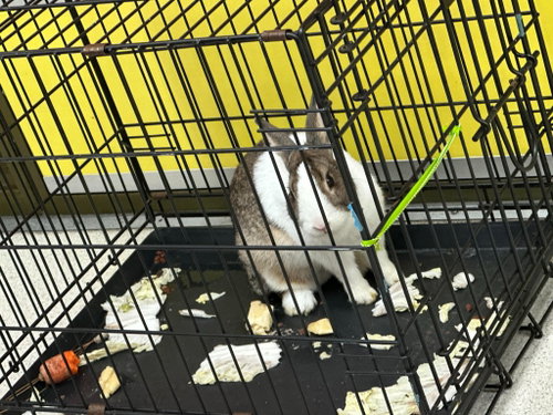 Photo 2 of Kimora