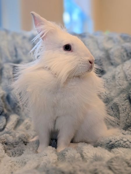 Evelyn, photo 4