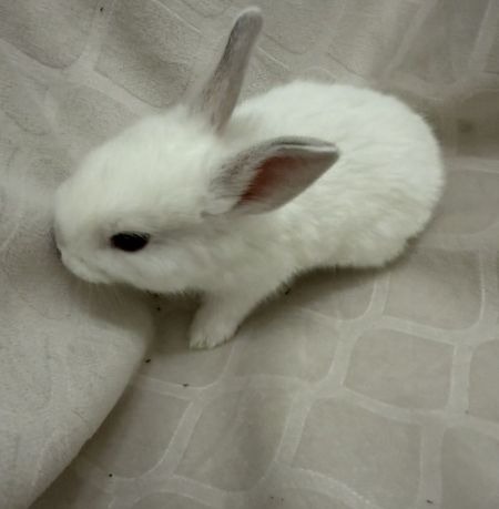 Photo 2 of Emry