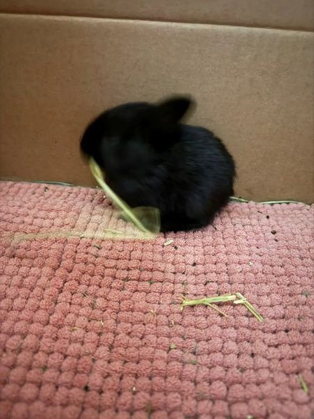 Photo 2 of Elvi