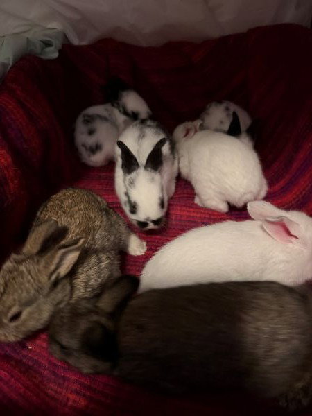 Photo 2 of Teagan