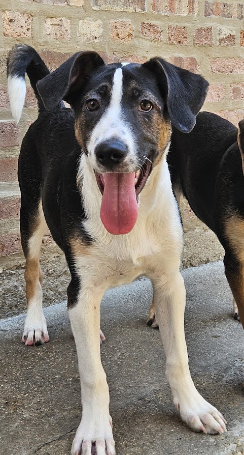 Photo of Stanley