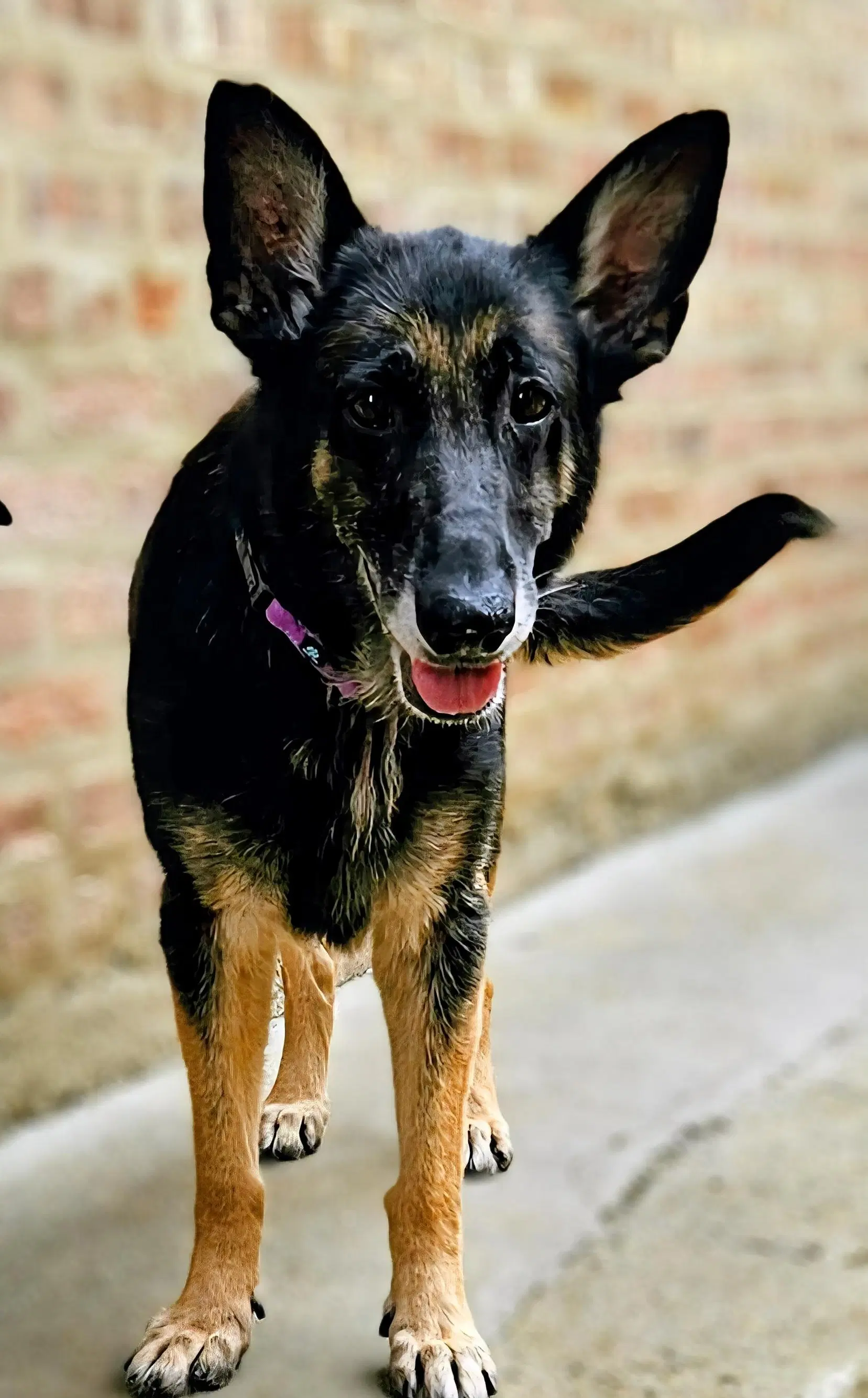 Skylar image 4