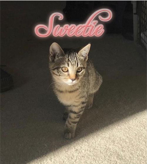 Sweetie