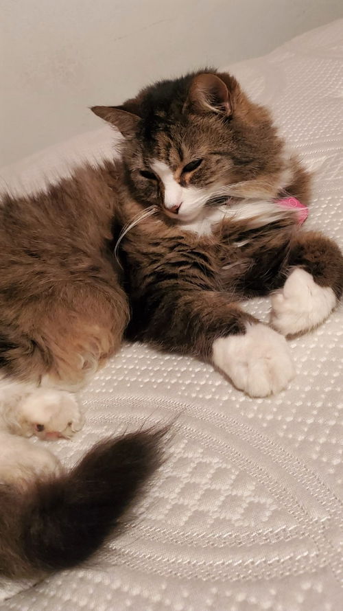 Precious