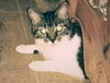 Lola